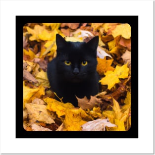 Black Cat in Autumn 1 Posters and Art